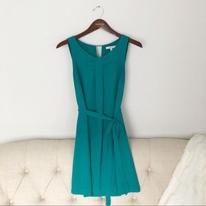 Naked Zebra Tunic Dress